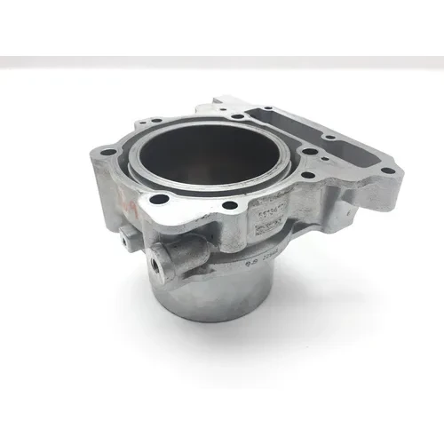 Engine Cylinder Jug W Piston Rear Aprilia RST1000 Futura 2135 2