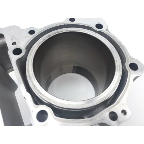 Engine Cylinder Jug W Piston Rear Aprilia RST1000 Futura 2135 4