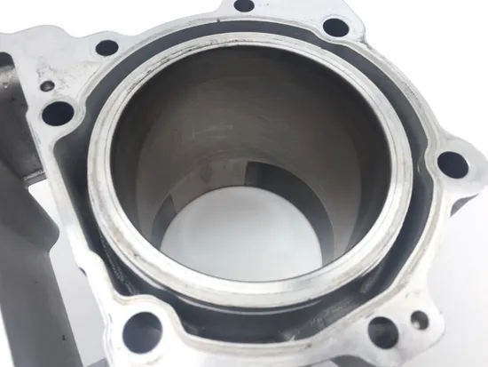 Engine Cylinder Jug W Piston Rear Aprilia RST1000 Futura 2135
