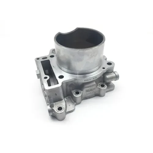 Engine Cylinder Jug W Piston Rear Aprilia RST1000 Futura 2135 5