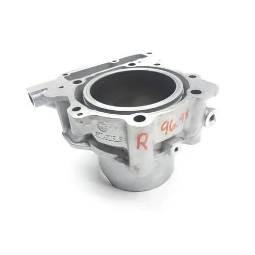 Engine Cylinder Jug W Piston Rear Aprilia RST1000 Futura 2135 3