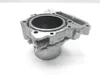 Engine Cylinder Jug W Piston Rear Aprilia RST1000 Futura 2135