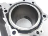 Engine Cylinder Jug W Piston Rear Aprilia RST1000 Futura 2135
