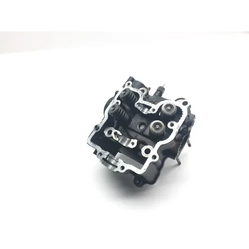 Engine Cylinder Head Complete W Valves 1999 Arctic Cat 500 2260 Parts 9