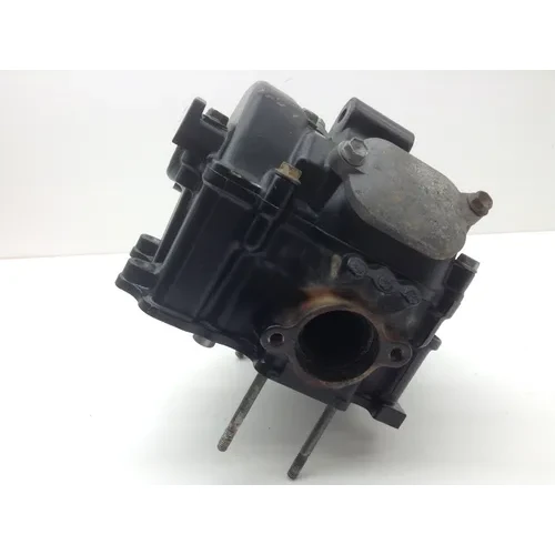 Engine Cylinder Head Complete W Valves 1999 Arctic Cat 500 2260 Parts 19
