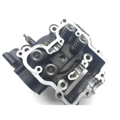 Engine Cylinder Head Complete W Valves 1999 Arctic Cat 500 2260 Parts 11