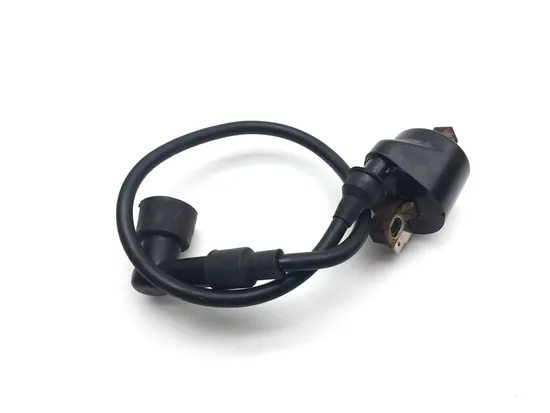 Ignition Coil 1999 Polaris Trail Boss 250 2154