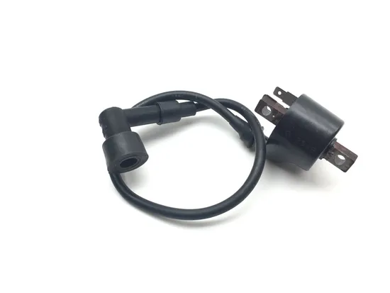 Ignition Coil 1999 Polaris Trail Boss 250 2154