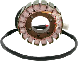 Rick's Alternator Stator Generator Kokusan Style