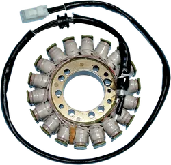 Rick's Alternator Stator Generator 115mm OD 42mm ID