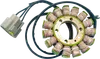 Ricks Alternator Stator Generator