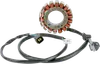 Rick's Alternator Stator Generator