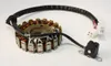 Rick's Hot Shot Alternator Stator Generator