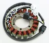 Rick's Alternator Stator Generator