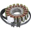 Rick's Alternator Stator Generator