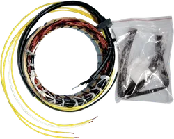 Rick's Alternator Stator Generator