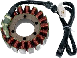 Rick's Alternator Stator Generator