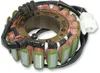 Rick's Alternator Stator Generator