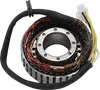 Rick's Alternator Stator Generator