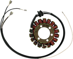 Rick's Alternator Stator Generator
