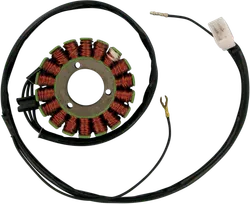 Rick's Alternator Stator Generator