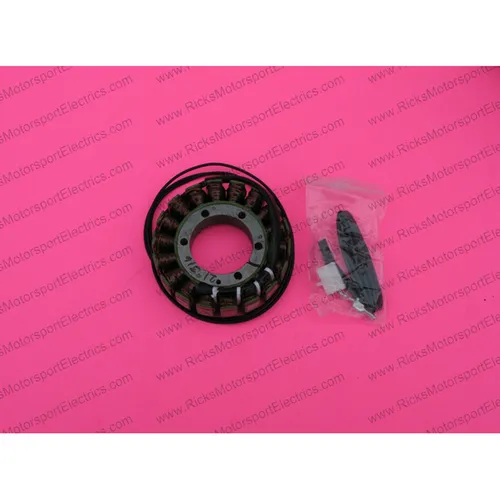 Rick's Alternator Stator Generator