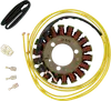 Rick's Alternator Stator Generator