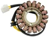 Rick's Alternator Stator Generator