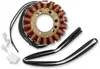 Rick's Hot Shot Alternator Stator Generator