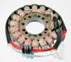 Rick's Alternator Stator Generator
