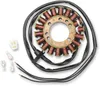 Rick's Alternator Stator Generator