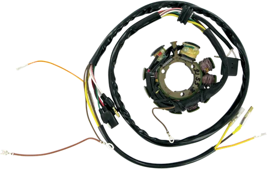 Rick's Alternator Stator Generator