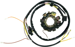 Rick's Alternator Stator Generator