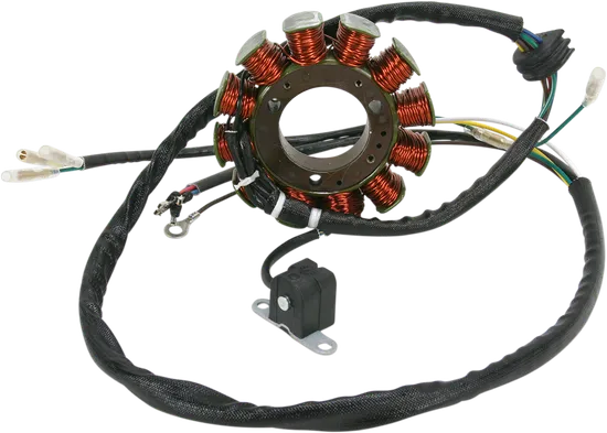 Rick's Alternator Stator Generator