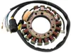 Rick's Alternator Stator Generator