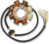 Rick's Hot Shot Alternator Stator Generator