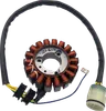 Ricks Alternator Stator Generator