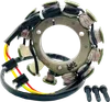 Ricks Alternator Stator Generator