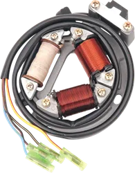 Rick's Hot Shot Alternator Stator Generator