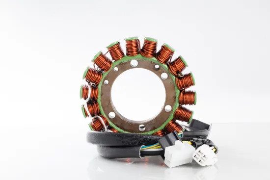 Rick's Alternator Stator Generator 4
