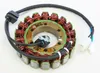 Rick's Alternator Stator Generator