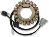 Rick's Alternator Stator Generator