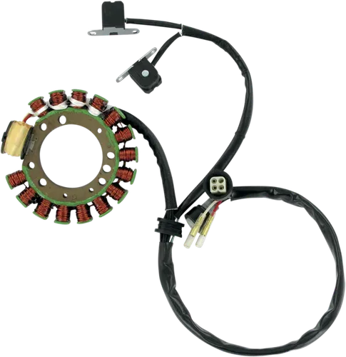 Rick's Alternator Stator Generator