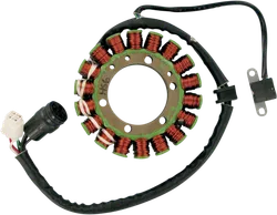 Rick's Alternator Stator Generator