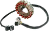 Rick's Hot Shot Alternator Stator Generator