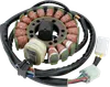 Rick's Hot Shot Alternator Stator Generator
