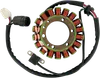 Ricks Alternator Stator Generator