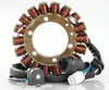 Ricks Alternator Stator Generator