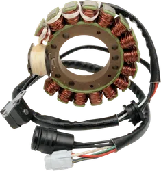 Rick's Hot Shot Alternator Stator Generator
