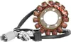 Rick's Alternator Stator Generator